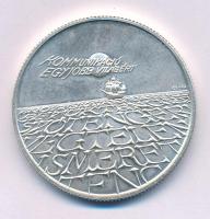 1993. 500Ft Ag "Expo 96" kapszulában T:BU patina
Adamo EM131