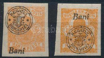 Nagyvárad 1919 Hírlapbélyeg Bani lent + támpéldány / Mi 19xII. shifted overprint Signed: Bodor