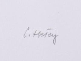 Hetey Katalin (1924-2010): Kompozíció. Szitanyomat, papír. Jelzett. Számozott (29/40). Lapméret: 54x...