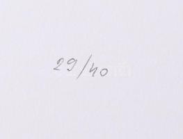 Hetey Katalin (1924-2010): Kompozíció. Szitanyomat, papír. Jelzett. Számozott (29/40). Lapméret: 54x...