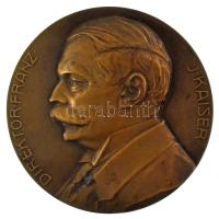 Ausztria Ludwig Hujer (1872-1968) 1912. "DIREKTOR FRANZ J KAISER / DIE BEAMTEN ANGESTELLTEN U BEDIENSTETEN DER WIENER MOLKEREI IHREM DIREKTOR ZUM 25 JäHRIGEN BERUFSJUBILäUM 1887-1912" bronz, vert, kétoldalú emlékérem (65mm) T:AU patina Austria Ludwig Hujer 1912. "DIREKTOR FRANZ J KAISER / DIE BEAMTEN ANGESTELLTEN U BEDIENSTETEN DER WIENER MOLKEREI IHREM DIREKTOR ZUM 25 JäHRIGEN BERUFSJUBILäUM 1887-1912" bronze, struck, double-sided commemorative medal. Sign.: Ludwig Hujer (65mm) T:AU patina