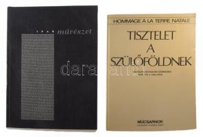 Kortárs művészet múzeumi gyűjteményekben. 1988-1999. Szerk.: Pataki Gábor, Sümegi György. XX. századi magyar művészeti dokumentumok. Bp.,2001., Képző- és Iparművészeti Lektorátus, 267+5 p. Kiadói kartonált papírkötés. + Tisztelet a szülőföldnek. (Hommage a lá terre natale.) Külföldön élő magyar származású művészek II. kiállítása. Szerk.: Baranyi Judit. Bp., 1982, Műcsarnok, 175+1 p. Francia és angol nyelvű bevezetővel, számos illusztrációval. Kiadói papírkötés, sérült kötéssel, kijáró lapokkal.