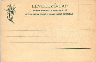 1905 Szepesbéla, Spisská Belá (Szepes, Zips); Evangélikus templom. Feitzinger Ede Auto-Chrom 559. 19...