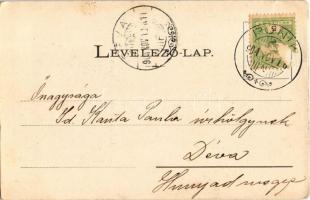 1904 Pónik, Pónyik, Pojnik (Zólyom); Leányok Pónyikon. Tót népviseletek 42. Sochán P. kiadása / Uppe...