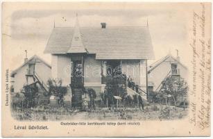 1904 Léva, Levice; Osztrider-féle kertészeti telep, kerti részlet. Dukesz Lipót kiadása / horticultural farm, garden (EB)