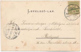 1904 Léva, Levice; Osztrider-féle kertészeti telep, kerti részlet. Dukesz Lipót kiadása / horticultu...