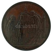 1879. "Székesfehérvári Országos Kiállítás 1879" bronz, kétoldalú, vert emlékérem (50mm) T:AU,XF kis ph., patina Hungary 1879. "Székesfehérvári Országos Kiállítás 1879 (Székesfehérvár National Exposition 1879)" bronze, double-sided, struck commemorative medallion (50mm) C:AU,XF small edge error, patina