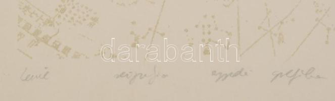 Olvashatatlan jelzéssel: Levél. Szitanyomat, kollázs (tarokk kártya), papír, üvegezett fakeretben, 2...