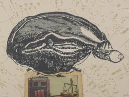 Olvashatatlan jelzéssel: Pénz. Szitanyomat, kollázs (tarokk kártya), papír, üvegezett fakeretben, 27...