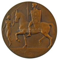 Ausztria 1915. "VIRIBVS VNITIS MCMXV" kétoldalas, vert, bronz emlékérem, Ferenc József, II...