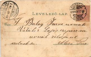 1899 Pozsony, Pressburg, Bratislava; Főtemplom, vár, Városháza, Koronázási emlék (Mária Terézia szob...