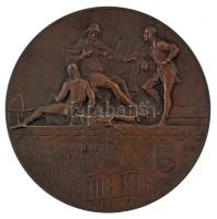 Anton Scharff (1845-1930) 1897. "ALEXANDER SZILÁGYI - AET. LXX / RERVM. HVNGARICARVM. AC. TRANS...