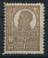 Kolozsvár 1920 Ziaristi Újságírók 40Bani magánkiadású bélyeg arany felülnyomással, "Zi risti" lemezhiba, újragumizva / private stamp with plate variety, regummed
