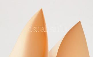 Ernst Gaehn: Die Kirche St. Katharinen zu Danzig und ihre Entwicklung vom polygonalen zum geradlinig...