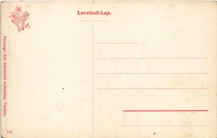 Árvaváralja, Árva-Váralja, Oravsky Podzámok; Tutajosok a Vág folyón, híd. Feitzinger Ede kitüntetett...