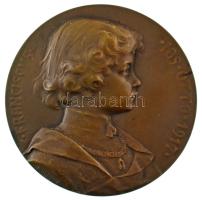 Ausztria 1917. "FRANCISCVS JOS OTTO 1917 / BELLATORVM INDIGNTIS" bronz, kétoldalas, vert emlékérem Szign.: H. Kautsch (65mm) T: XF / Austria 1917. "FRANCISCVS JOS OTTO 1917 / BELLATORVM INDIGNTIS" bronze, double-sided, struck medallion Sign.: H. Kautsch (65mm) C:XF