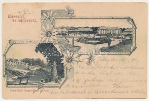 1901 Félixfürdő, Baile Felix (Nagyvárad mellett); fürdő / spa. Art Nouveau, floral (EM)