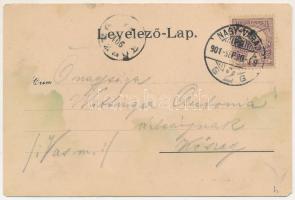 1901 Félixfürdő, Baile Felix (Nagyvárad mellett); fürdő / spa. Art Nouveau, floral (EM)