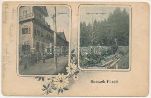 1910 Borszék, Borsec; Székház, Közrezi úti részlet. Soós kiadása / spa, office, hotel, riverside. Art Nouveau, floral (fa)