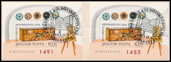 1981 Bélyegnap (54.) 2 db blokk mindkettő hátoldalán "A MAGYAR POSTA AJÁNDÉKA" felirat, elsőnapi bélyegzéssel (16.000)