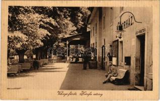 Vihnye, Vihnyefürdő, Kúpele Vyhne; Hársfa sétány, Nádorház, jegypénztár / promenade, spa, ticket office (EK)