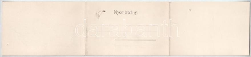 1902 Korompa, Krompach, Krompachy (Szepes); vasgyár. Balkányi S. kiadása, 3-részes kihajtható panorá...