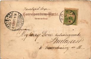 1904 Bocsár, Bocar; Görögkeleti (ortodox) templom, vasútállomás, gőzmozdony, vonat, Baich palotája, ...