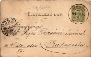 1905 Cservenka, Crvenka; Joh. Krumesz üzlete, Ferenc csatornai híd, templom / shop of Krumesz, bridg...
