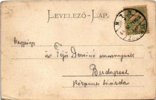 1905 Versec, Vrsac; Kápolna-hegy, villa, szőlő. Kehrer Lajos kiadása / Kappellenberg / chapel hill, ...