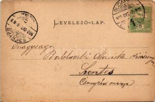 1902 Budapest XIV. Városliget, Vajdahunyad vára. Ganz Antal No. 14. (EK)