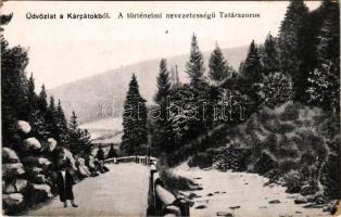 Máramaros, Maramures; Üdvözlet a Kárpátokból. A történelmi nevezetességű Tatár-szoros. Berger Miksa utóda kiadása / Cheile Tatarului / mountain pass, road (EK)