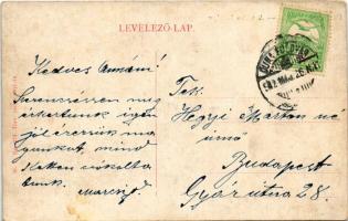 1912 Dunafölvár, a város látképe, hajómalom a Dunán. W.L. Bp. 275. / Danube with floating watermill ...