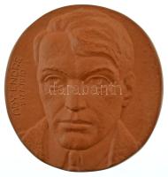 DN "Ady Endre 1877-1919" egyoldalas kerámia emlékérem (~150mm) T:AU hátoldalán lyukasztott, pecsét