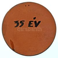 DN "Ady Gimnázium Csenger" egyoldalas kerámia emlékérem (~140mm) Szign.: ismeretlen T:AU h...