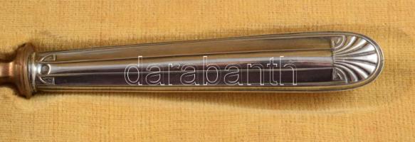 Ezüst (Ag) nyelű tortalapát, jelzett, dobozában, h: 26 cm