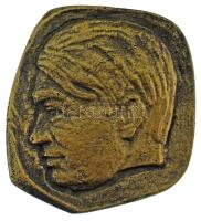 DN "Igen én élni s hódítani fogok egy fájdalmas nagy élet jussán Ady" kétoldalas, öntött, bronz emlékérem (~80mm) T:AU