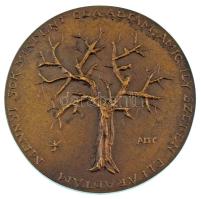 Konyorcsik János (1926-2010) 1974. "Mennyi sok mindent oda adtam amíg ily szépen elfáradtam - Ady" egyoldalas, öntött, bronz emlékérem (80mm) T:AU