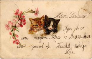 1902 Cats with flowers. litho (r)