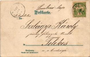 1902 Cats with flowers. litho (r)