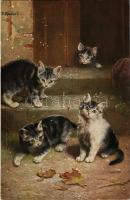 1914 Cats. T.S.N. Serie 1432. s: Reichert