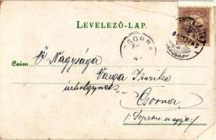 1900 Dogs. litho (r)