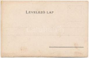 Beszterce-Naszód vármegye térképe. Kiadja Károlyi Gy. / Map of Bistrita-Nasaud county (szakadás / te...