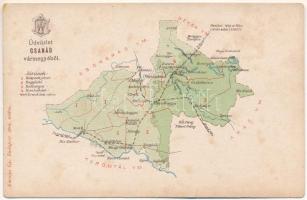 Csanád vármegye térképe. Károlyi Gy. kiadása / Map of Csanád county (kis szakadás / small tear)