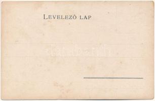 Csanád vármegye térképe. Károlyi Gy. kiadása / Map of Csanád county (kis szakadás / small tear)