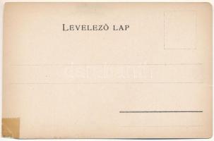 Szabolcs vármegye térképe. Károlyi Gy. kiadása / map of Szabolcs county (r)