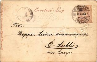 1898 Boldog újévet! Törpe malaccal. Rüger G. és társa No. 16. / New Year greeting art postcard with ...