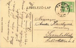 1909 Tarcsa, Tarcsafürdő, Bad Tatzmannsdorf; Batthyány szálloda, Károly-forrás és kolonád. Hönigmann...