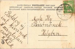 1908 Boldog újévet! Üdvözlőlap macskával, kutyával és malaccal. A levél címzettje báró Miske Ilona /...