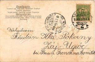 1904 Prosit Neujahr / Lady with pig New Year greeting postcard. Emb (EB)