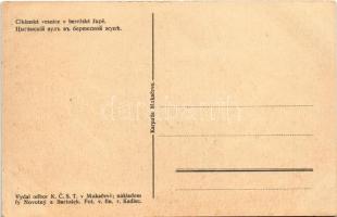 Bereg vármegye, cigánytelep / Cikánská vesnice v berezské zupe (Berezská zupa) / Bereg County, Gypsy...